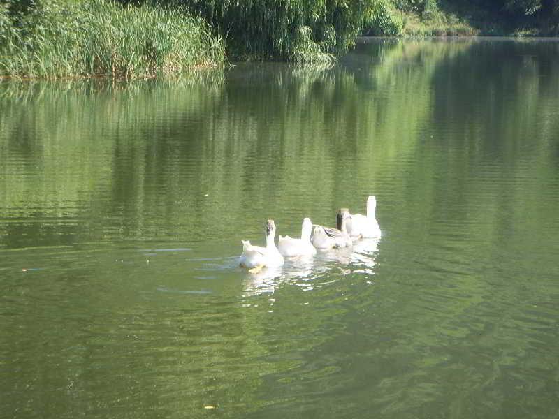 The Lake Villa Smolyan Ngoại thất bức ảnh